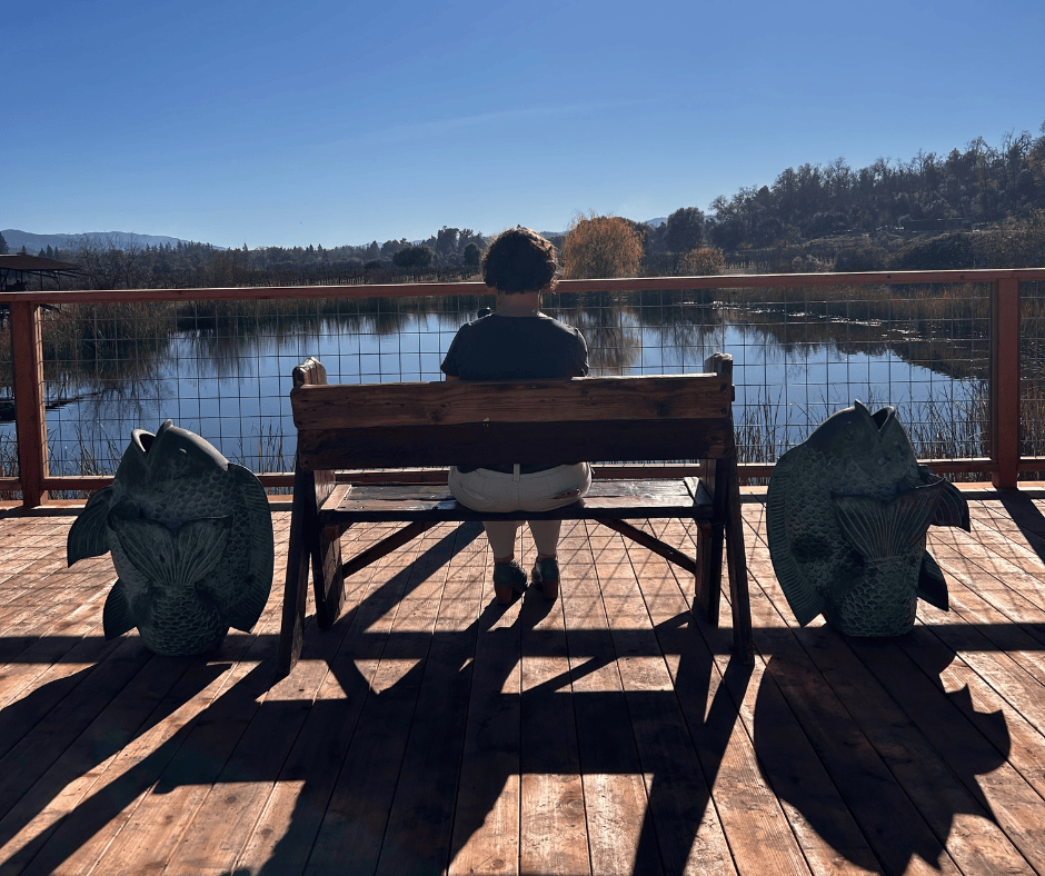 Taps and Snacks on January 16th