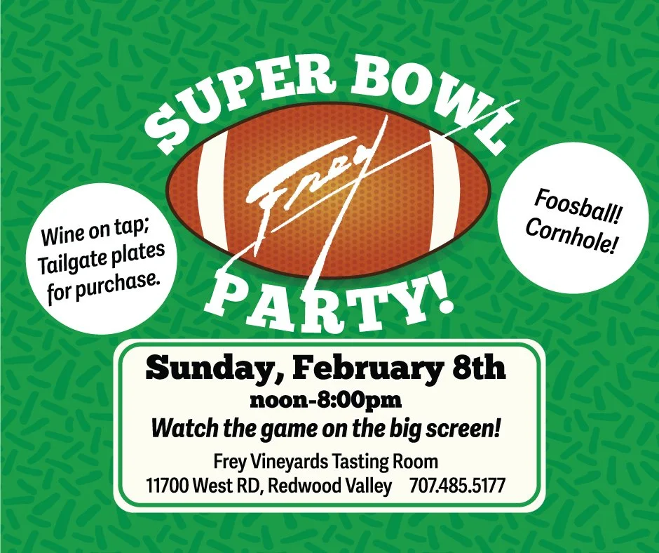 Frey Super Bowl Party