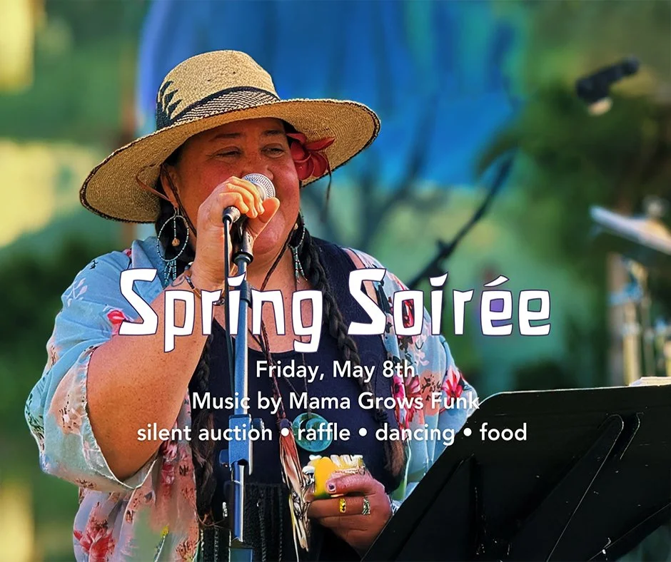 Waldorf Springtime Soiree