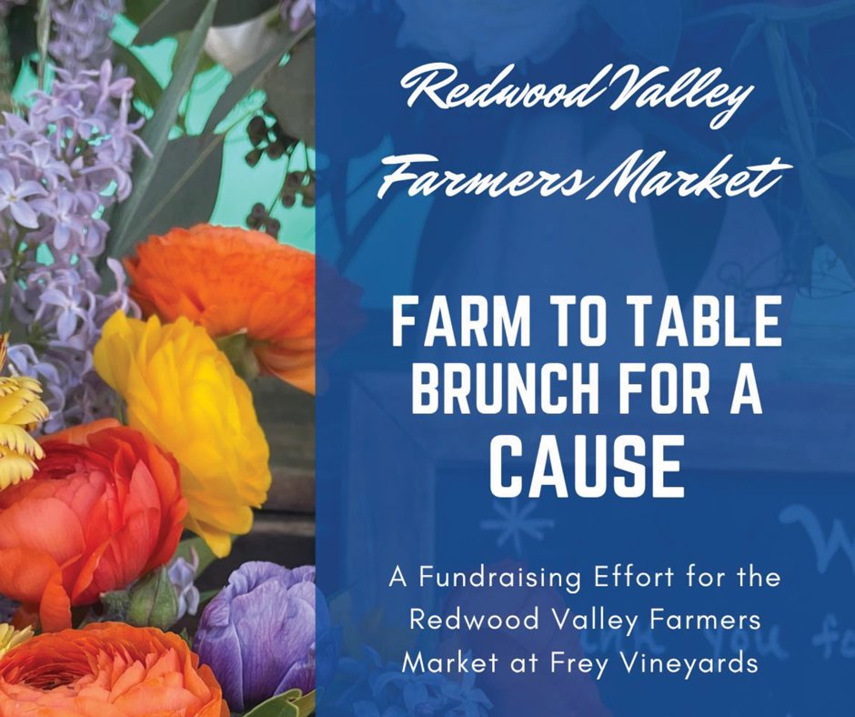 Redwood Valley Farmers Market Benefit