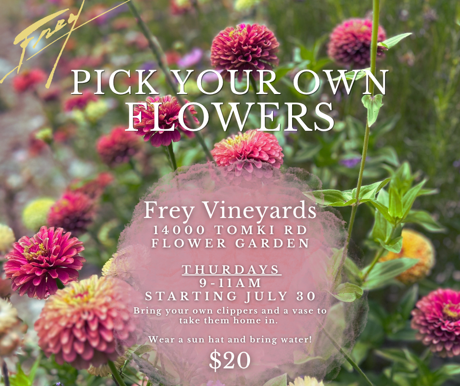 U-Pick Flowers - 7/30