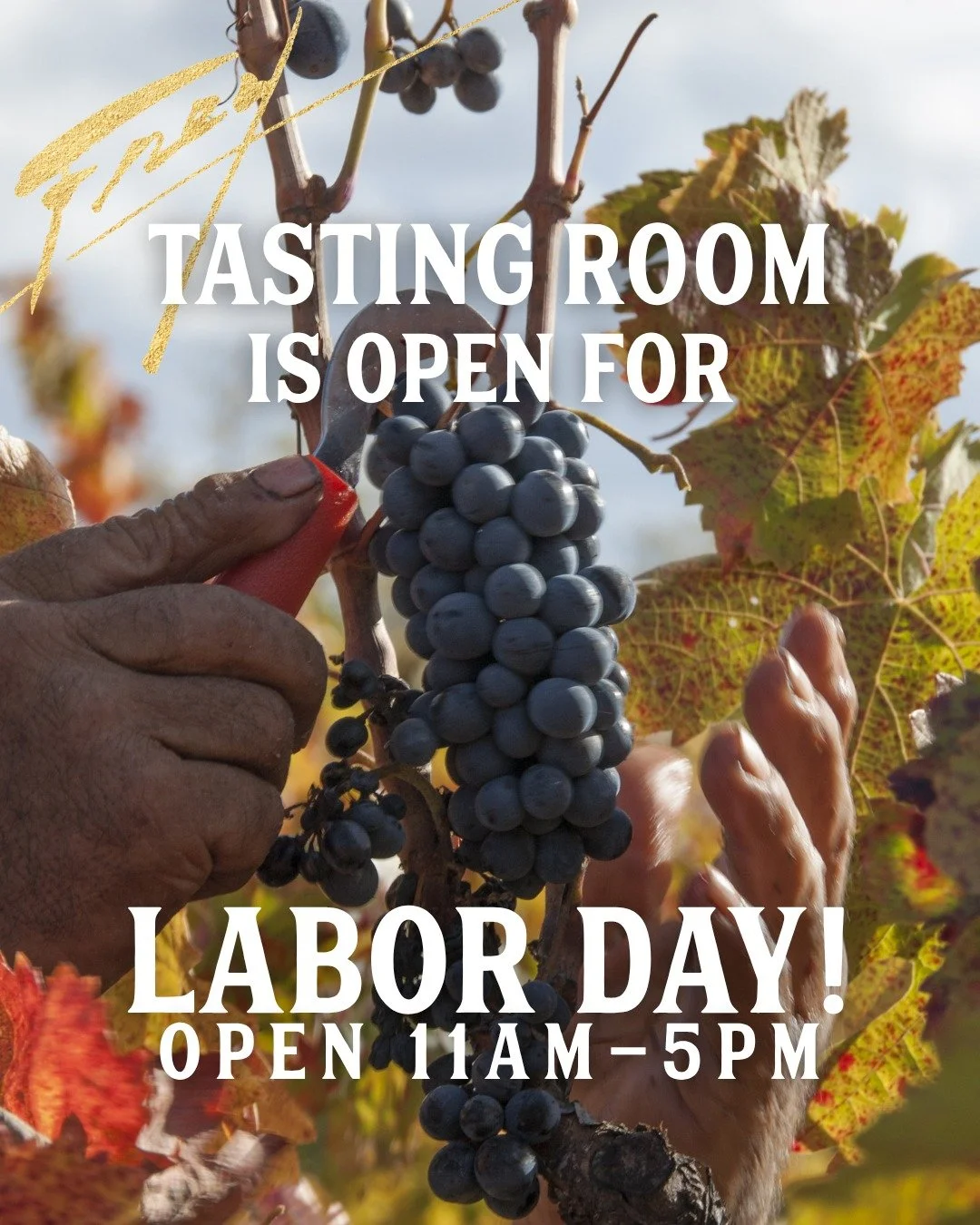 We&rsquo;ll be open this Labor Day, because the grapes certainly aren&rsquo;t taking the day off.

Harvest is underway and there are fresh grapes in the air. Come by, grab a glass, and see what&rsquo;s happening around the vineyard!

OPEN Labor Day &