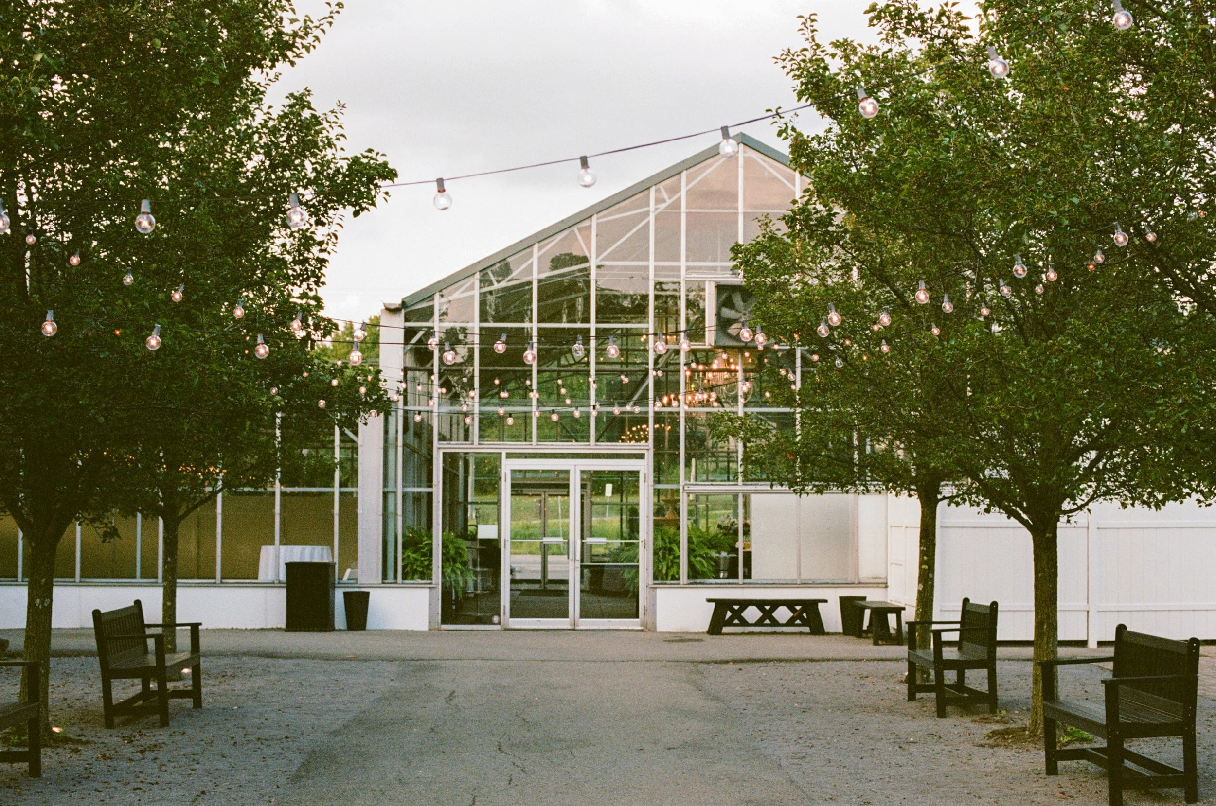Outside view of a modern glass building with string lights overhead, surrounded by trees and benches, in the evening.