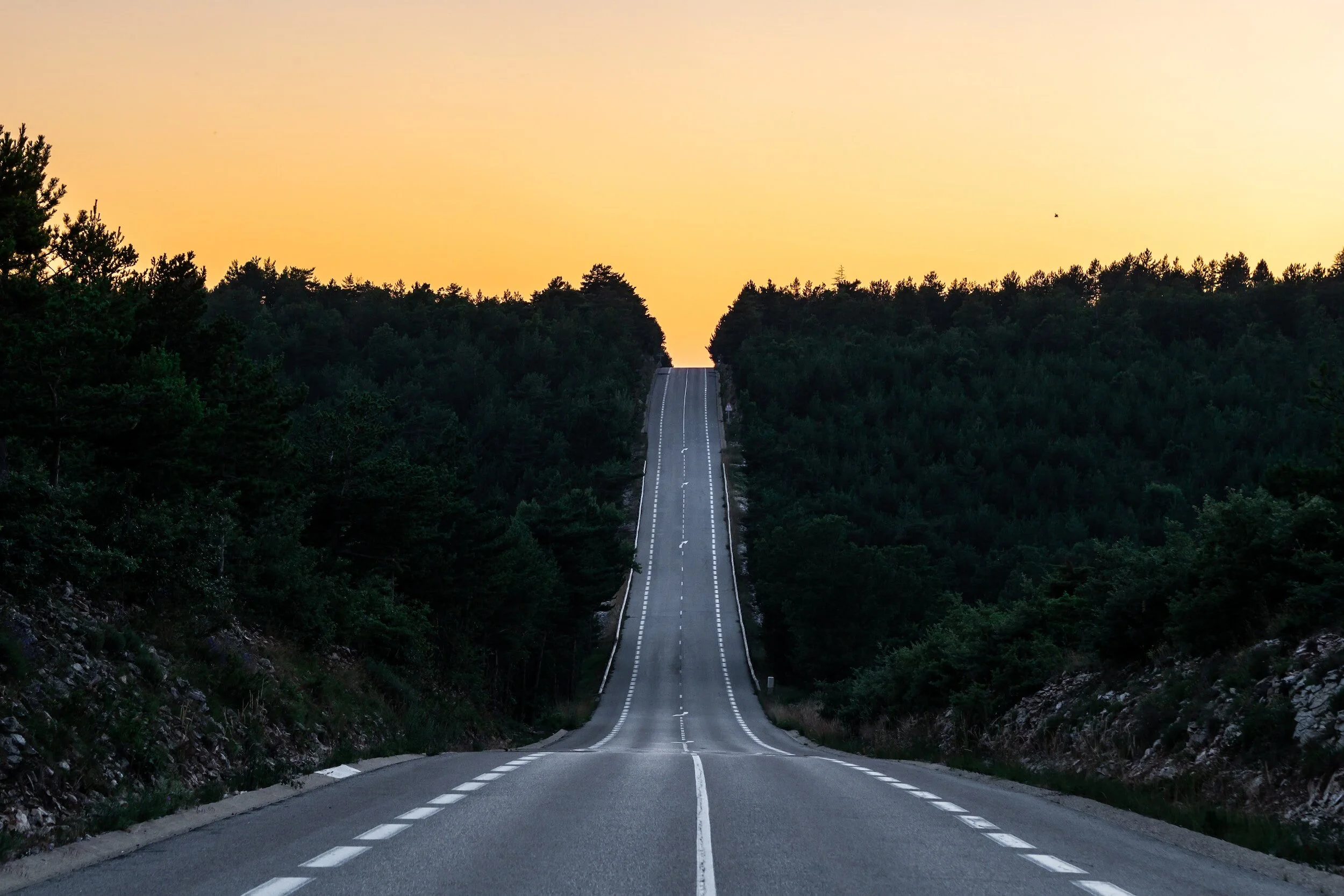 a road that is steep going up surrounded by trees