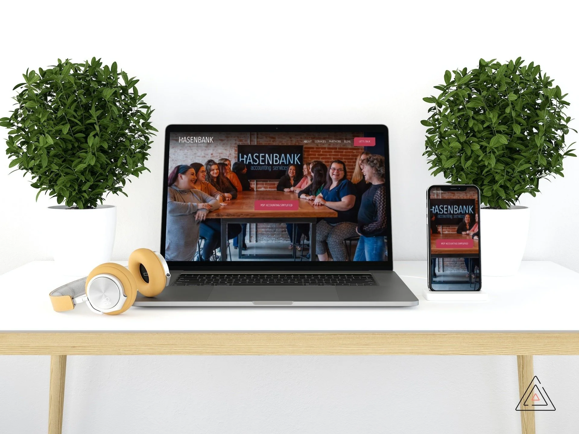 Hasenbank Accounting Website