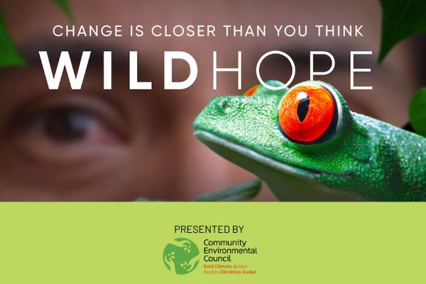 An Evening of Wild Hope