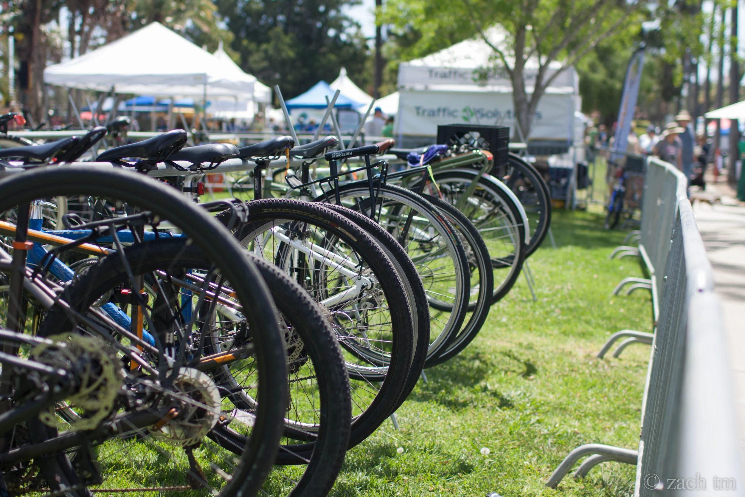 A Year in Bicycling: Reviewed by Trisalyn Nelson