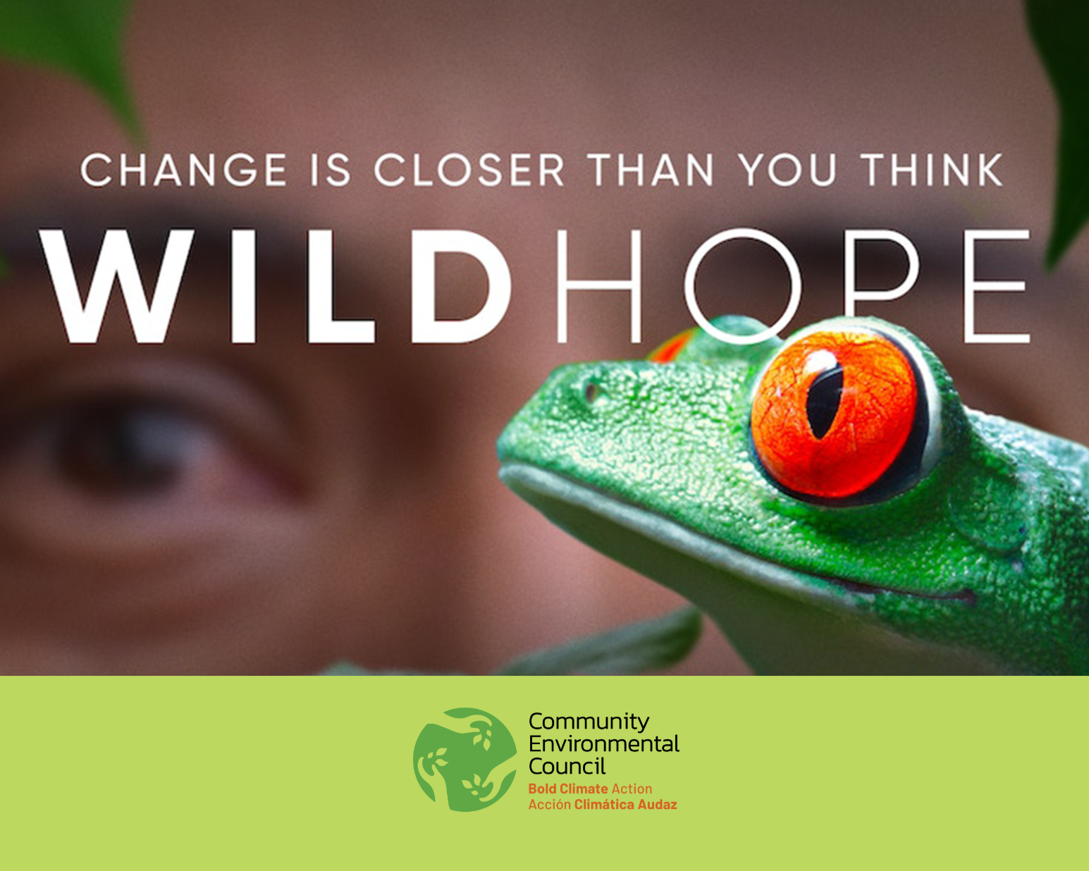 An Evening of Wild Hope