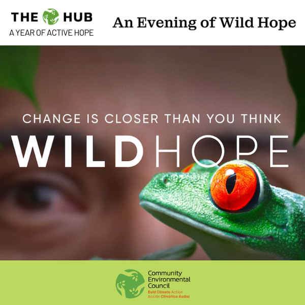 An Evening of Wild Hope