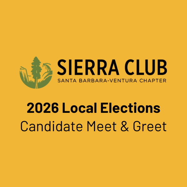Meet Candidates for the 2026 Local Elections