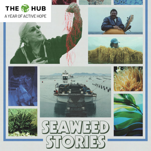 "Seaweed Stories" Film Screening and Panel Discussion
