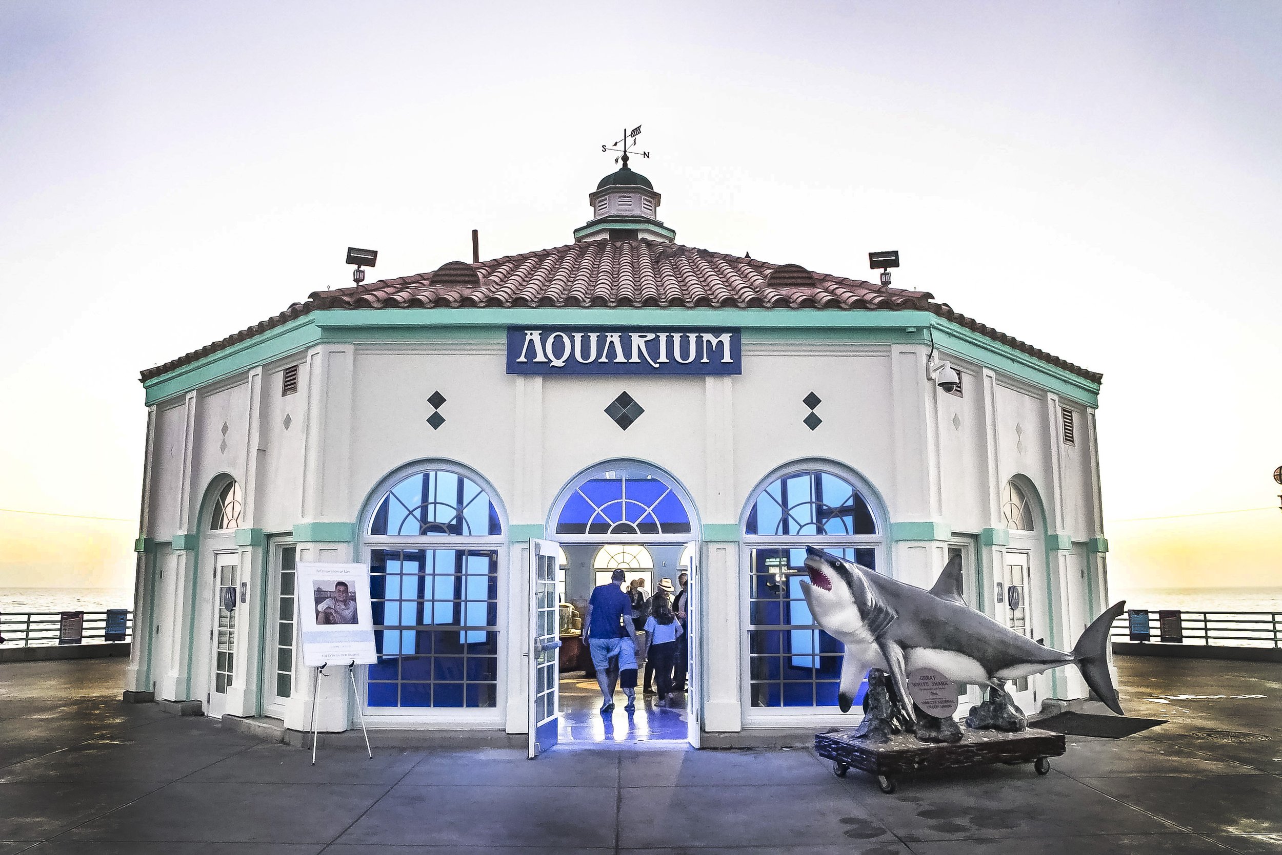 Roundhouse Aquarium_Joel_DSC00026_4.jpg