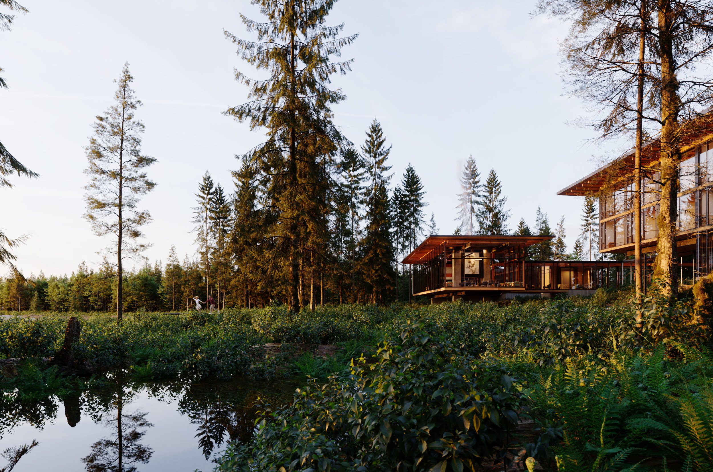 (c)NotionWorkshop_Tofino_Draft2_Pond_1.jpg