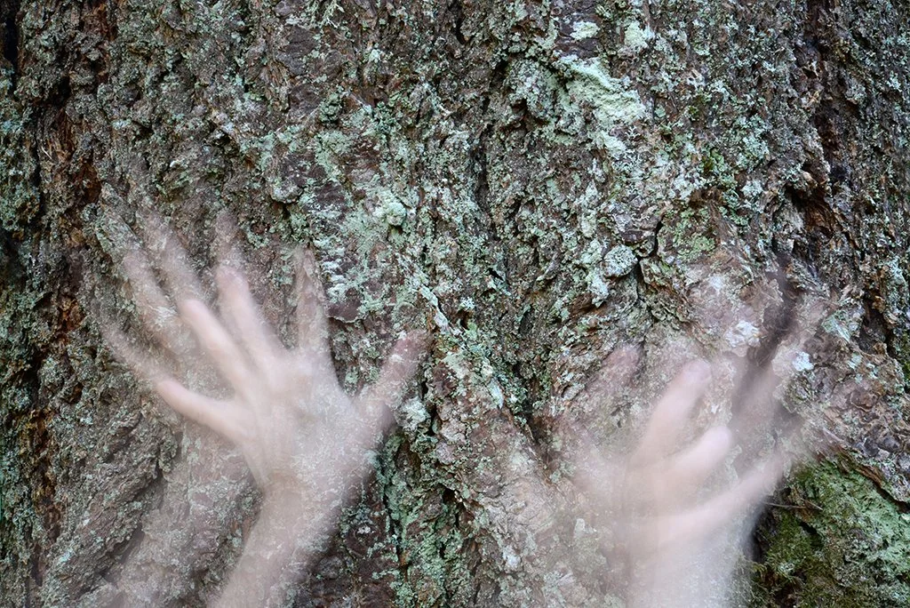 Hands on trees