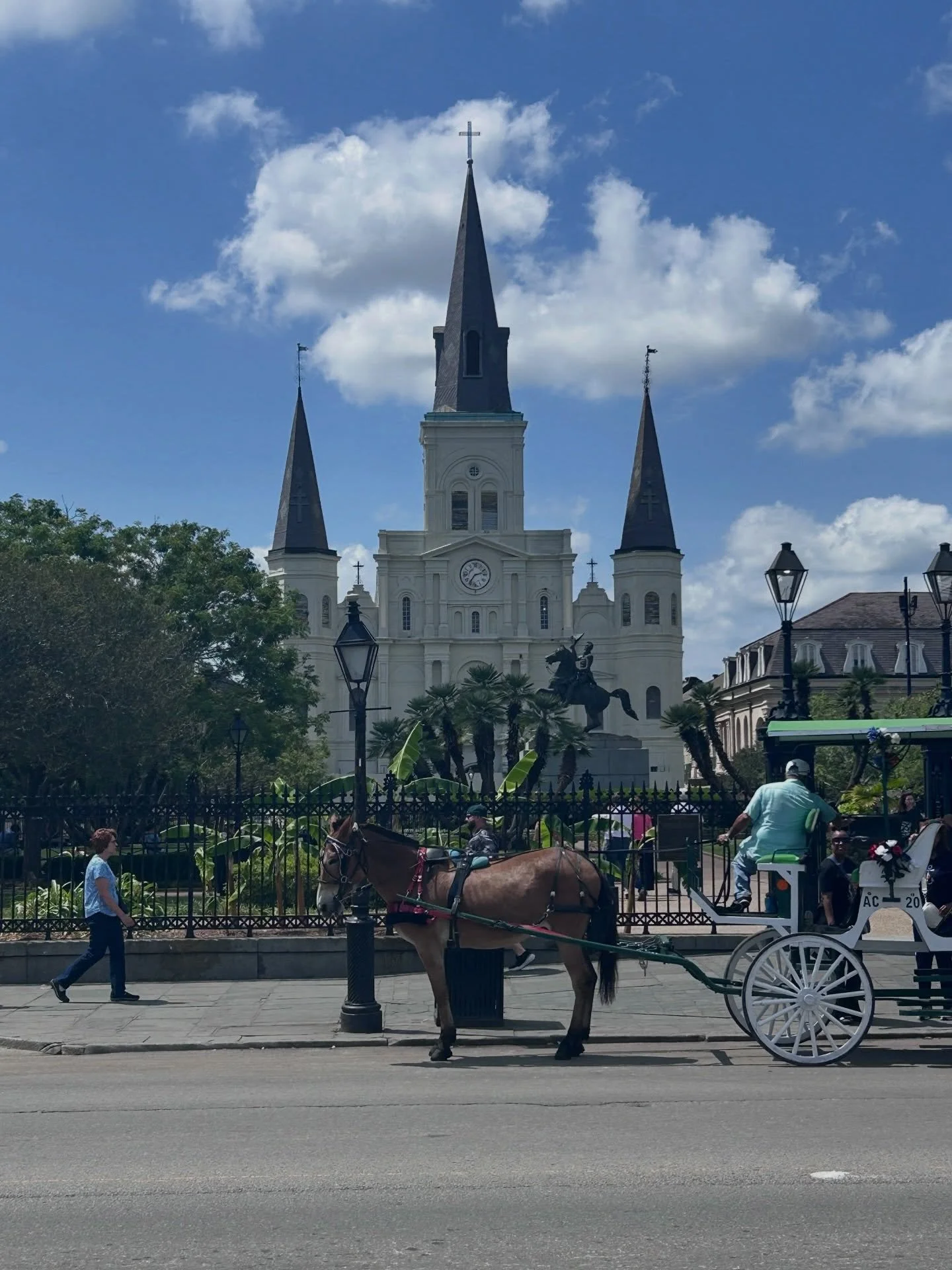NOLA #interiordesign #interiordesigner #nola #neworleans