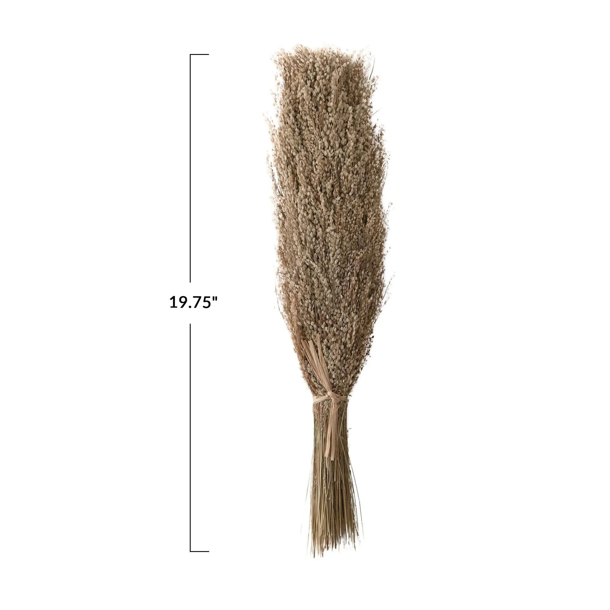 df4429_2_.jpg
