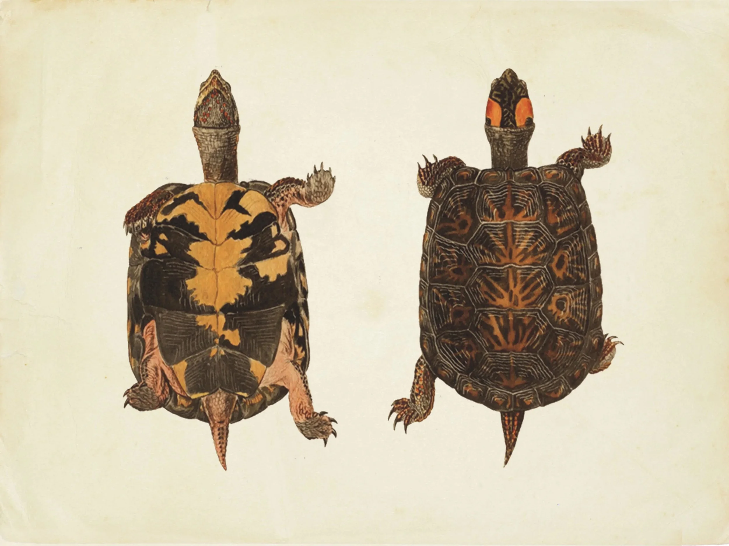 6ada71d9-4b39-4e8a-aa99-a0e033a285eb.jpg copy.jpg