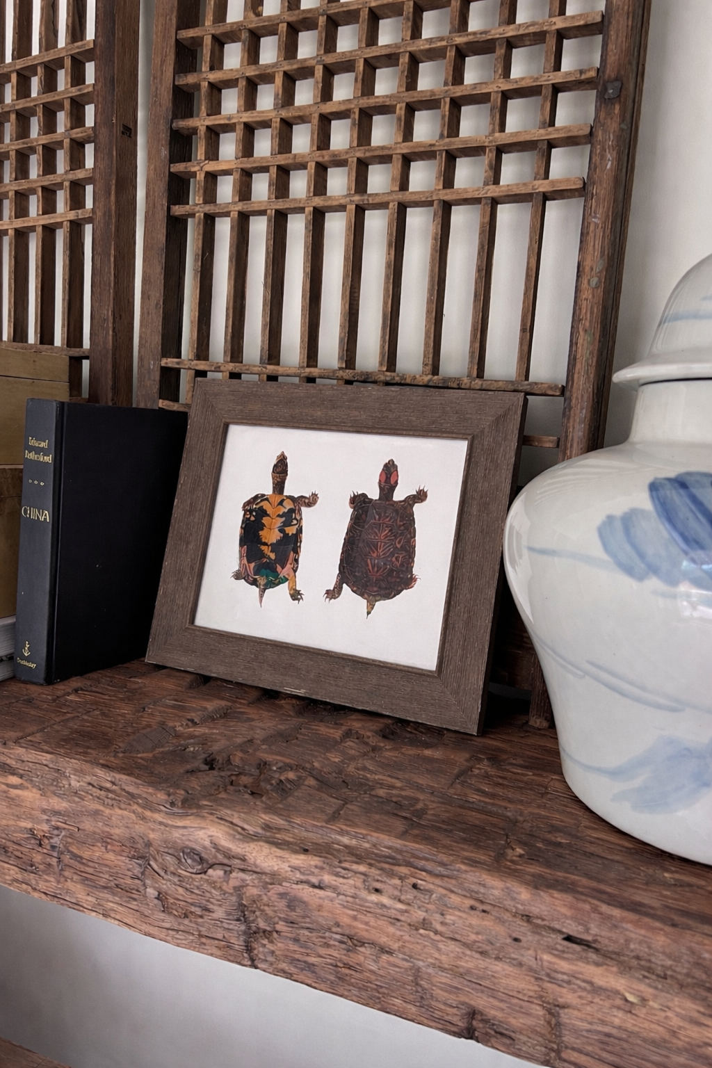 Framed Turtle Study Print | 8” × 10”