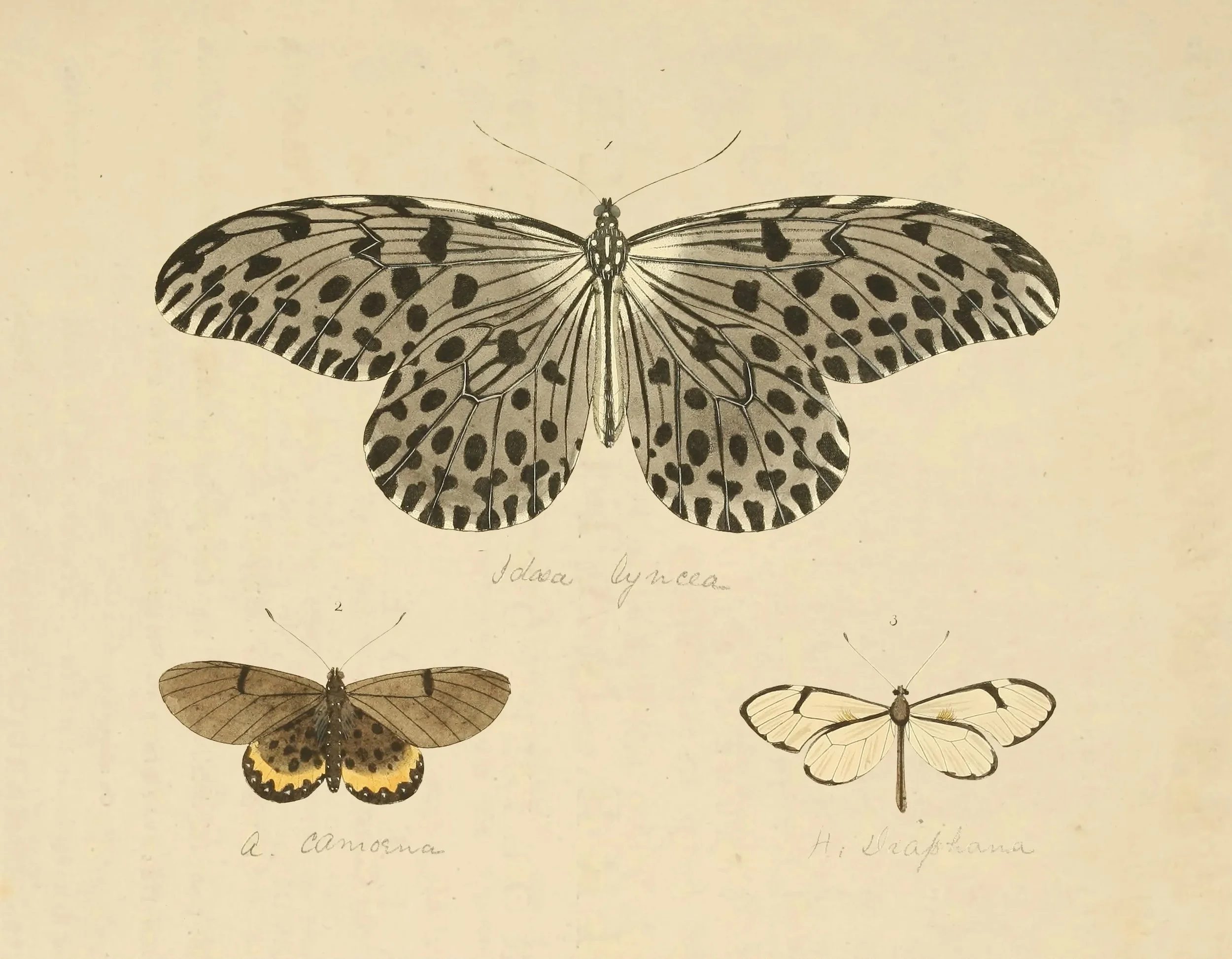 ea1549f7-ca75-4b62-8c8e-1e89445e53bb.jpg copy.jpg