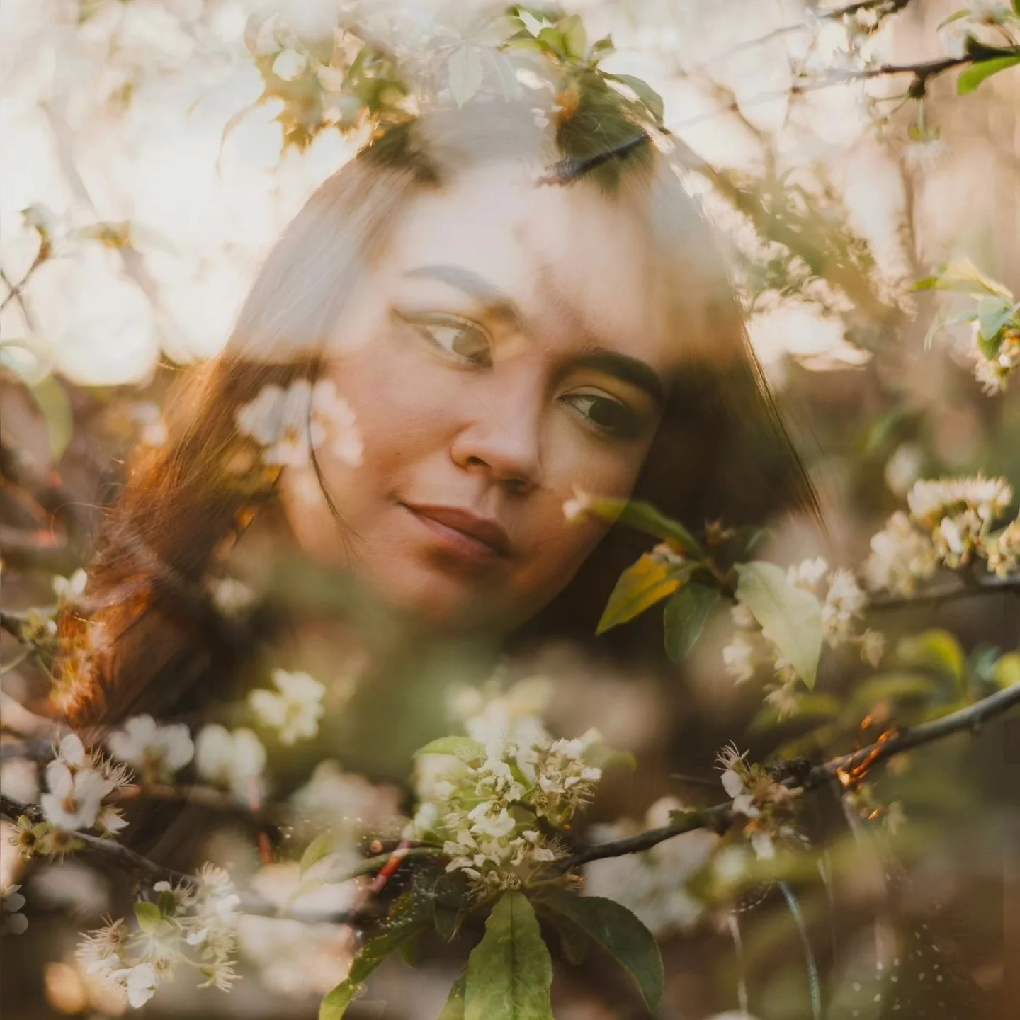 Just a reminder that you are as beautiful and unique as these blossoms in the sunlight, open to receive abundance from the bees 🐝