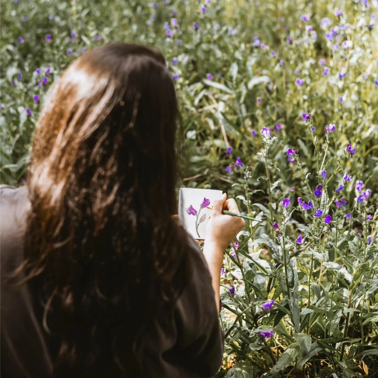 Divine day surrounded by flowers and butterflies 🌼🦋