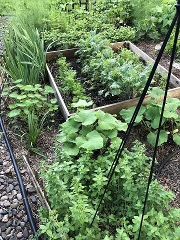Home Gardens