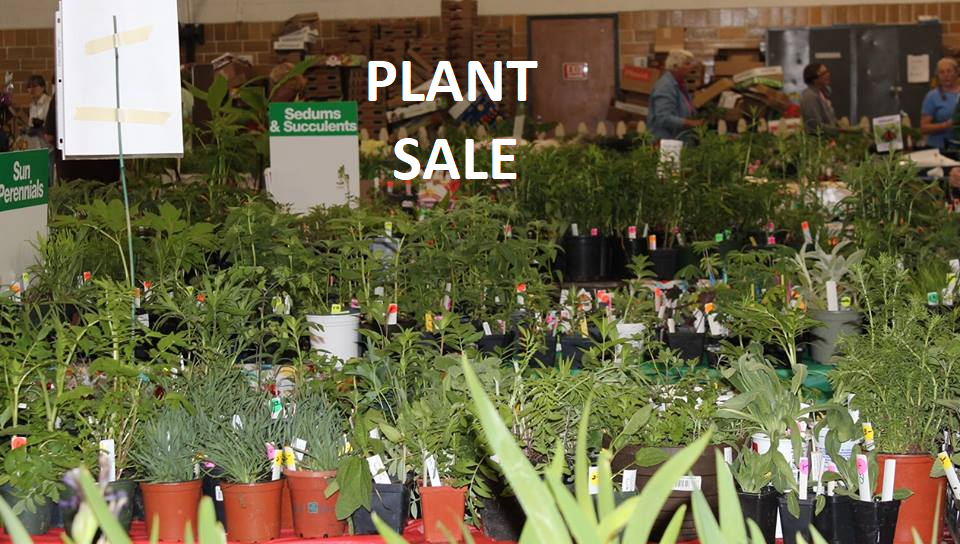 Plant Sale!
