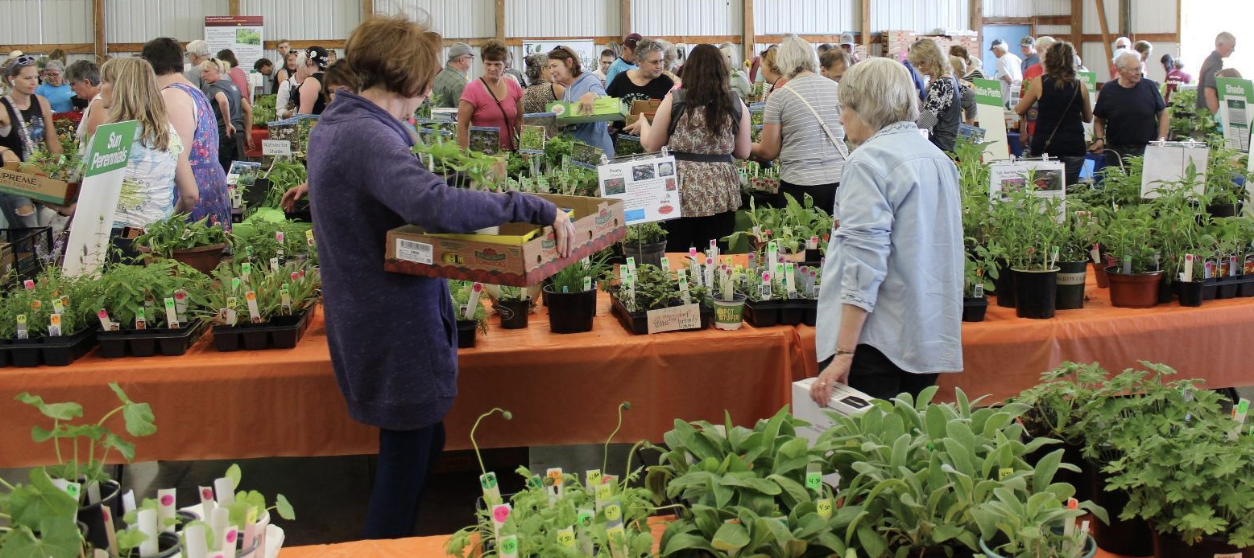 Plant Sale
