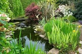 Water Gardens--Planning and Planting