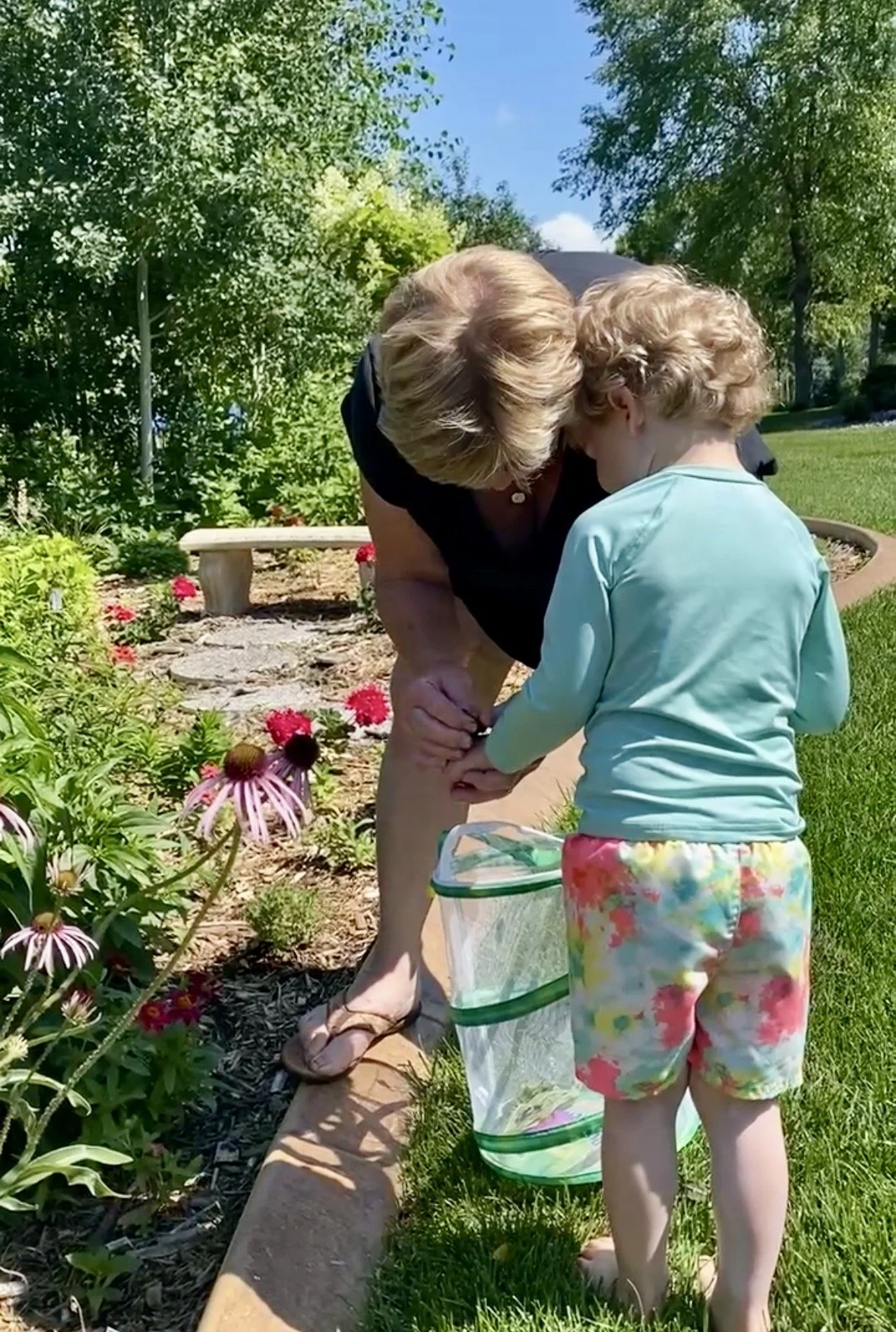 Wings and Wonder: Growing a Butterfly Garden (and Lasting Memories) with the Grandkids