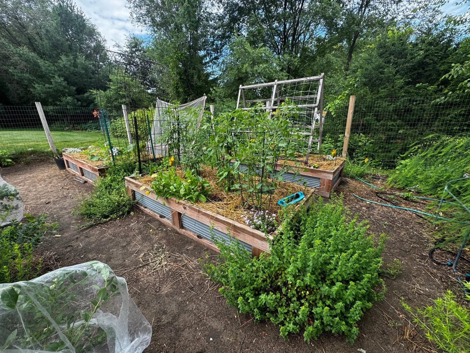 Building A More Resilient Garden