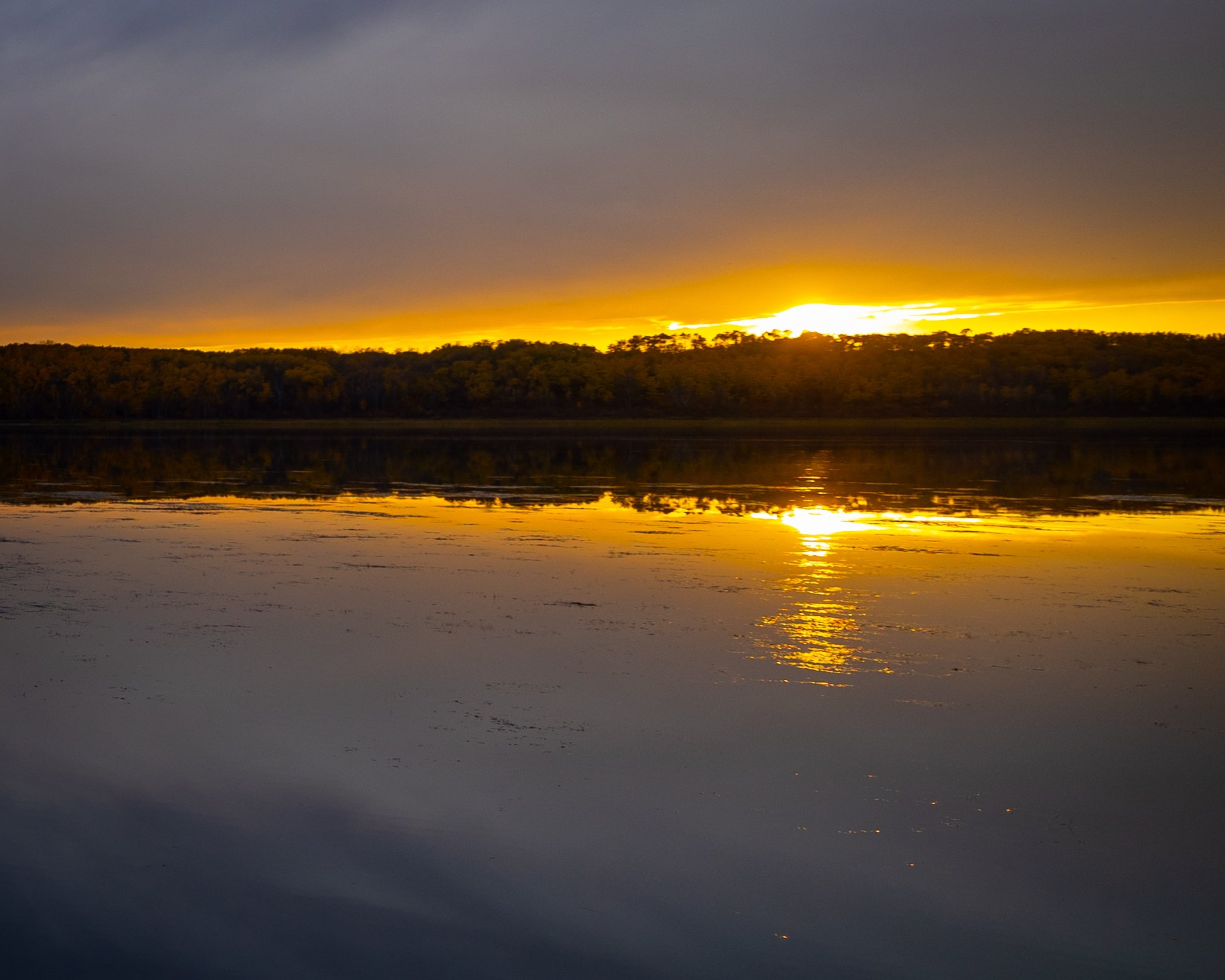 Tillicum Beach Fall 15.jpg