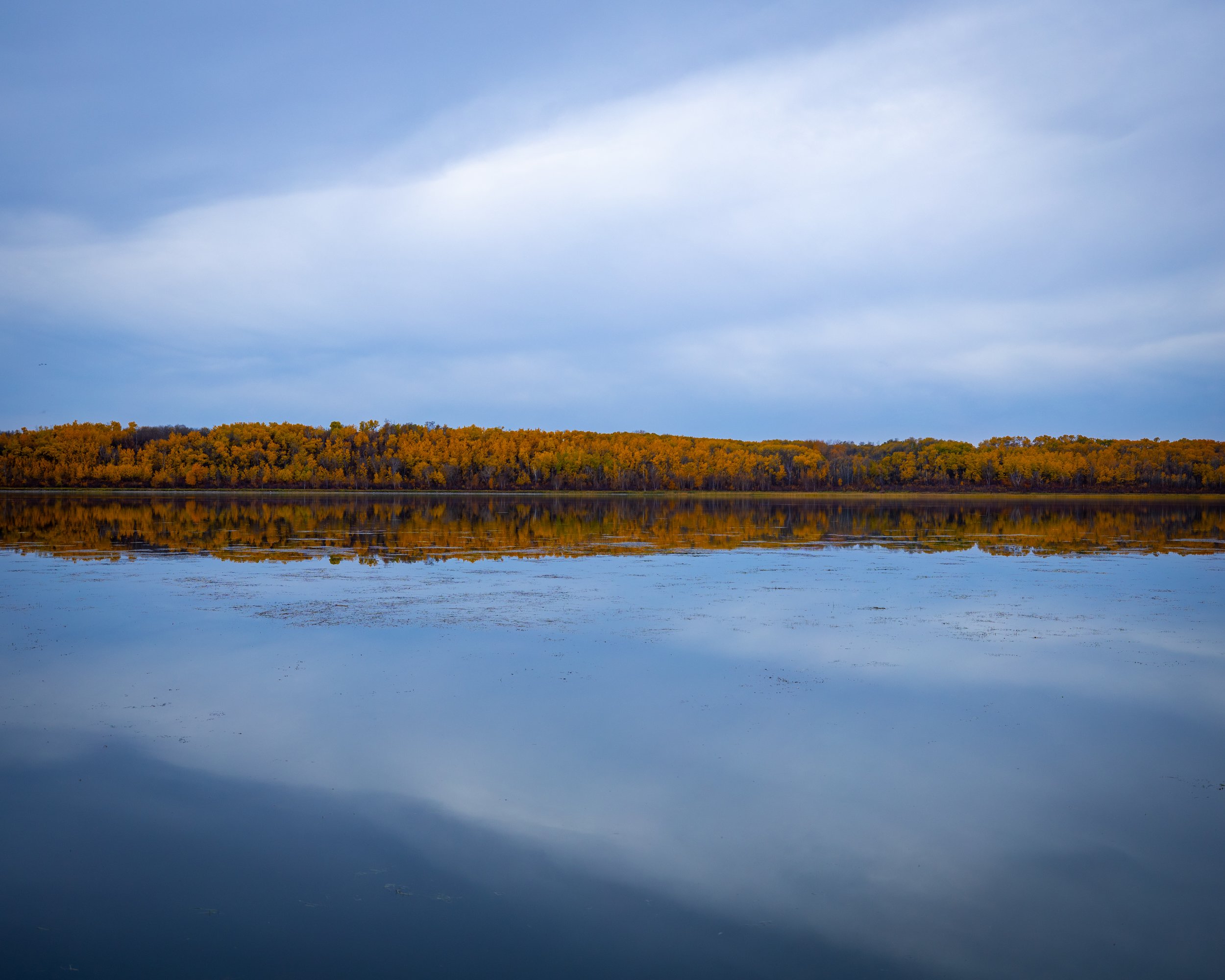 Tillicum Beach Fall 4.jpg