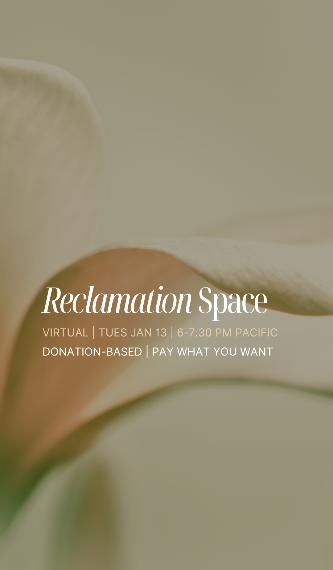Reclamation Space: Virtual Edition