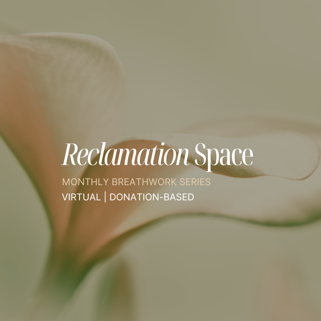 Reclamation Space: Virtual Edition