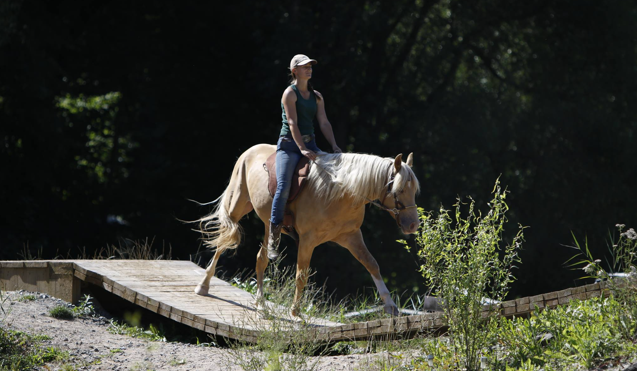 Bildschirmfoto 2023-06-23 um 21.57.37.png