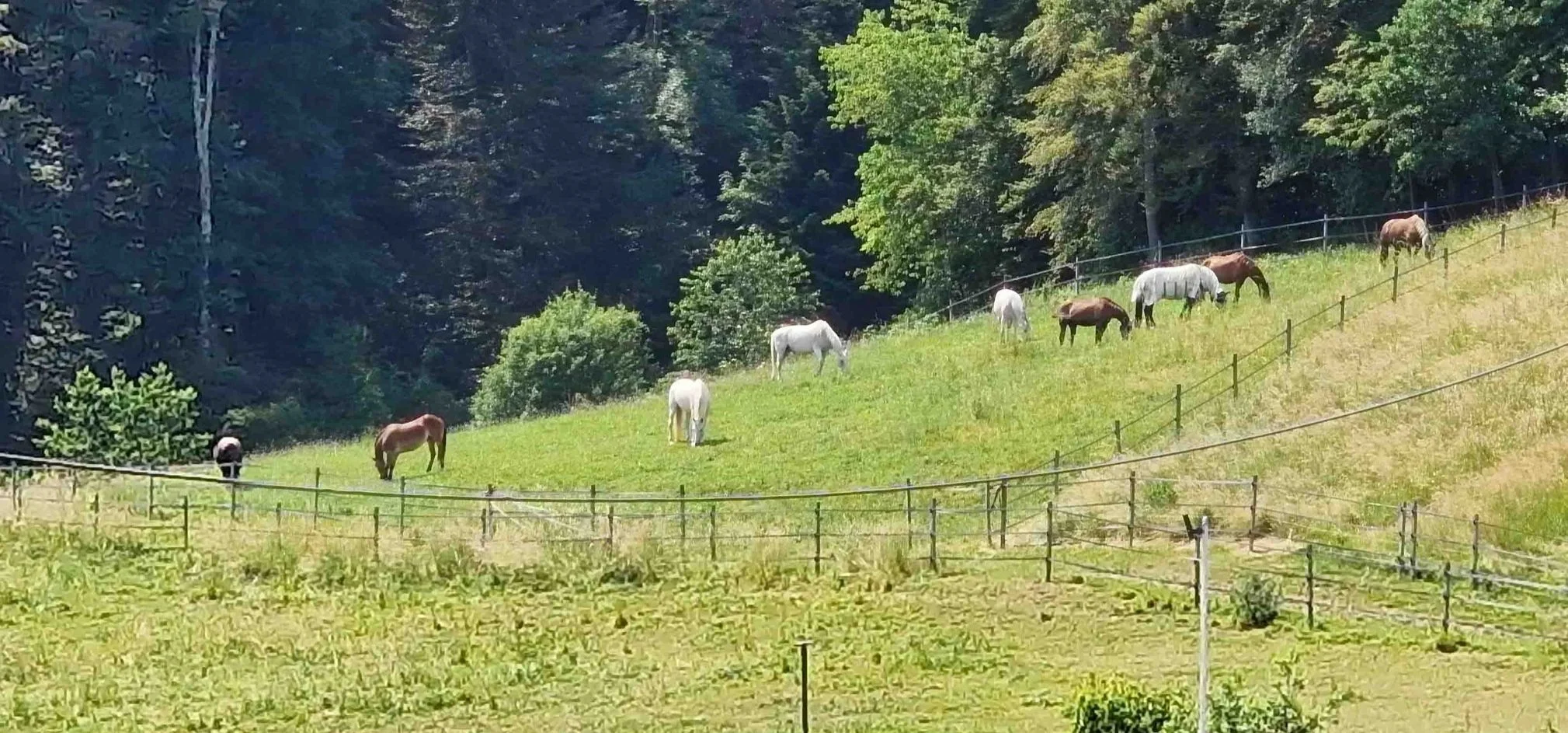 20230608_145149 copy.jpg