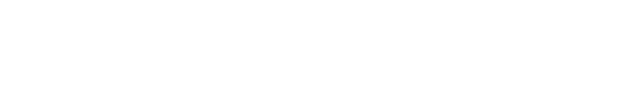 New Texas Symphony Orchestra
