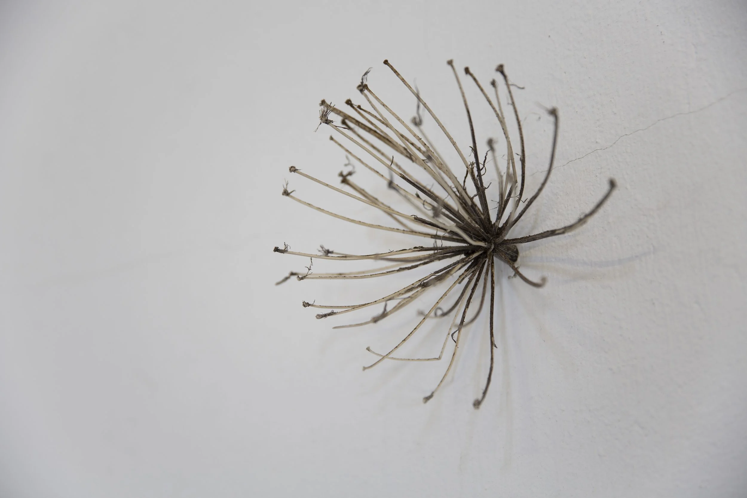 Martha Lyons Haywood, Photography by Claudia Hausfeld