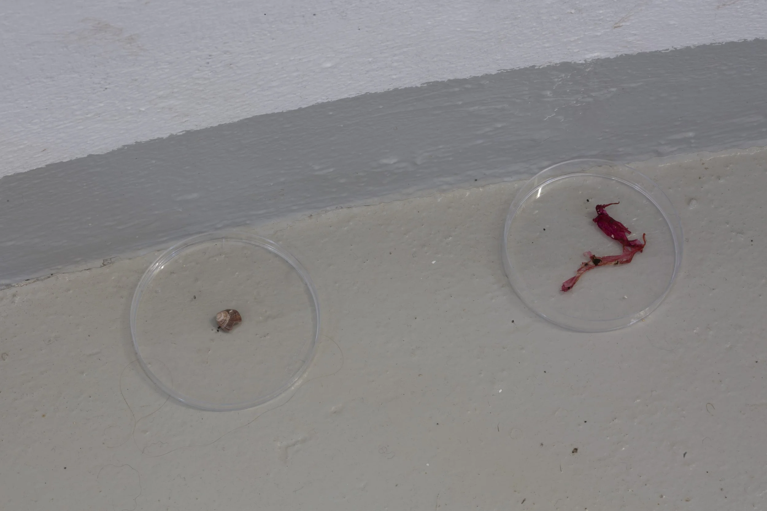 Martha Lyons Haywood and audience, Photography by Claudia Hausfeld
