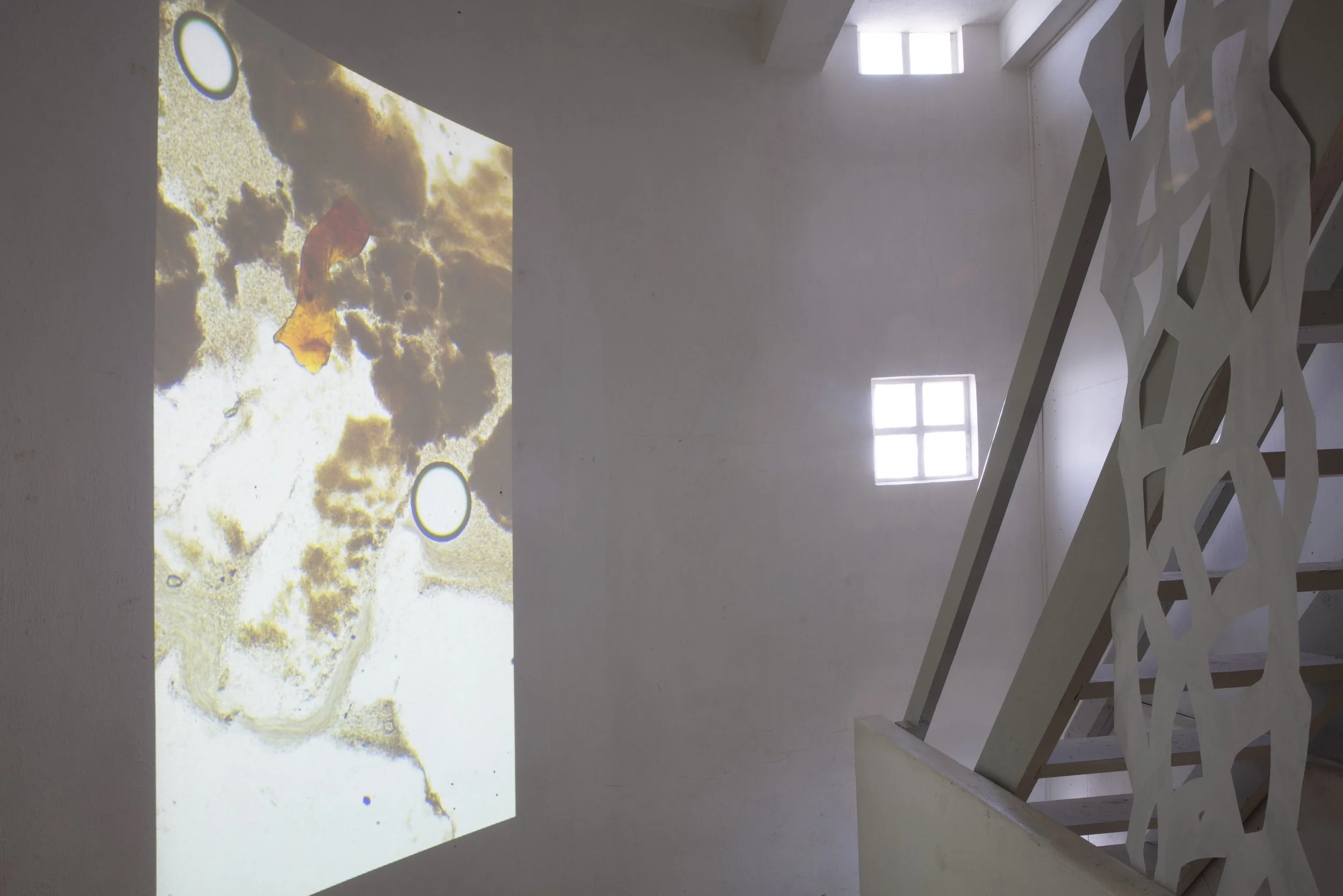 Julie Sjöfn Gasiglia, Photography by Claudia Hausfeld