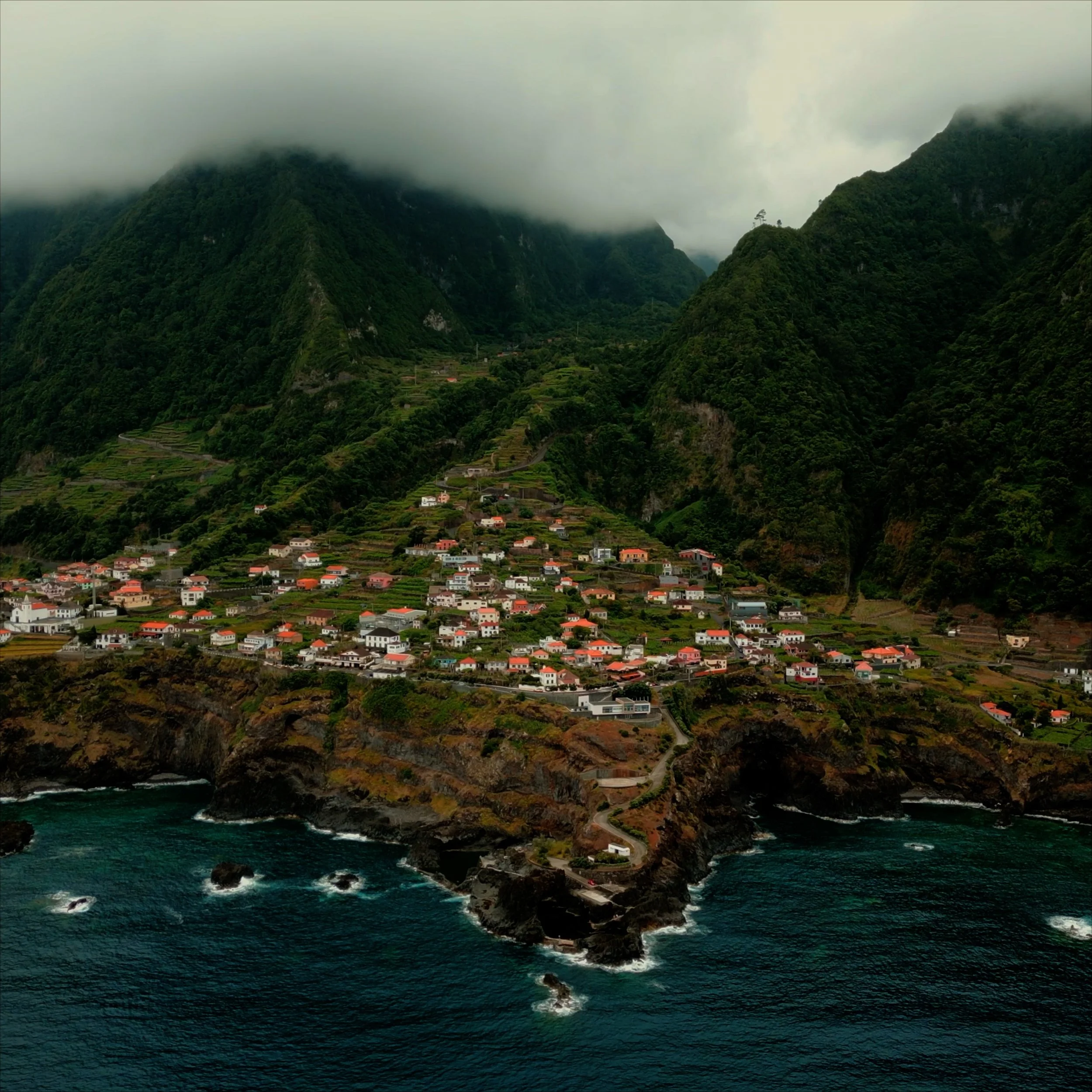 Untitled Project.jpg