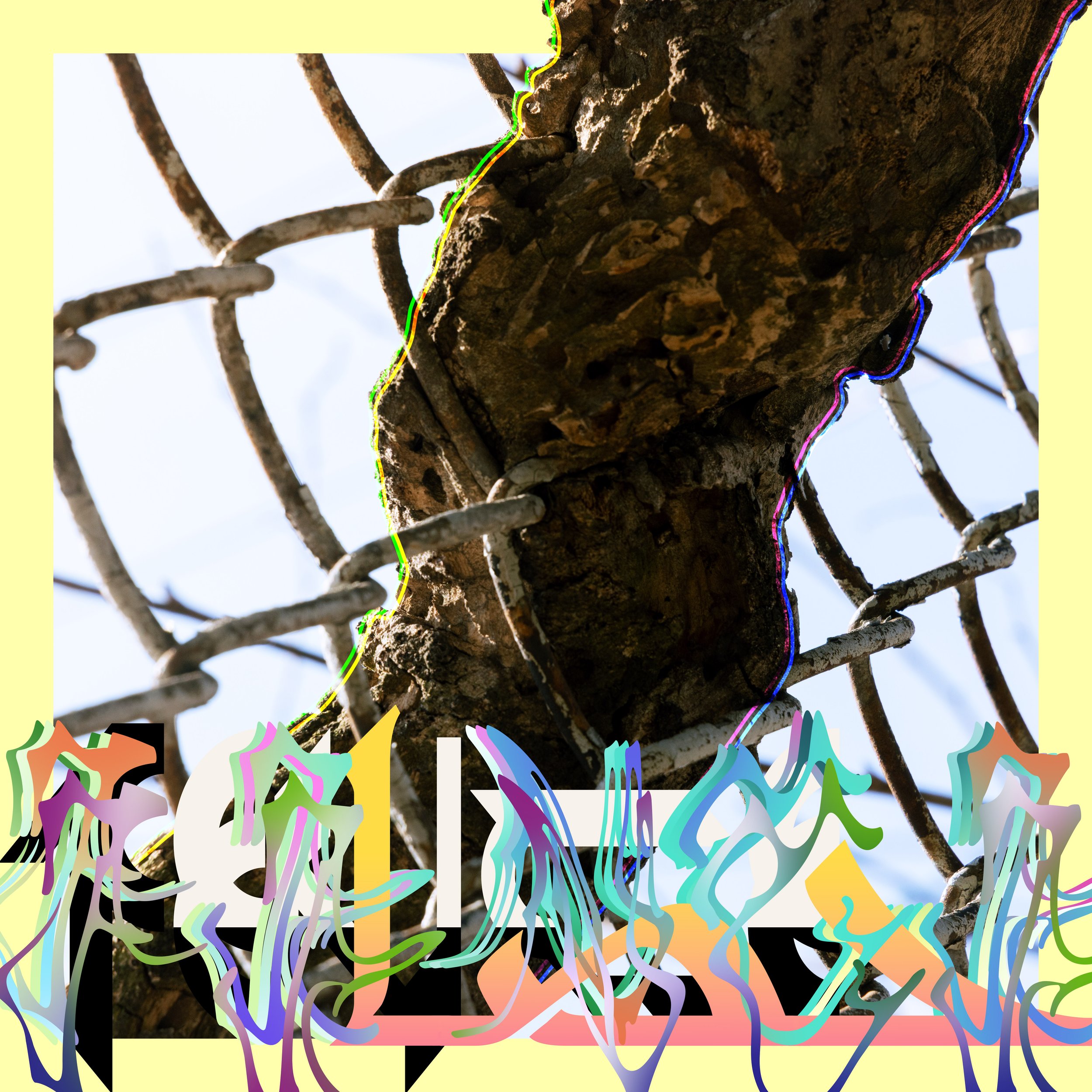 FENCE_2.jpg