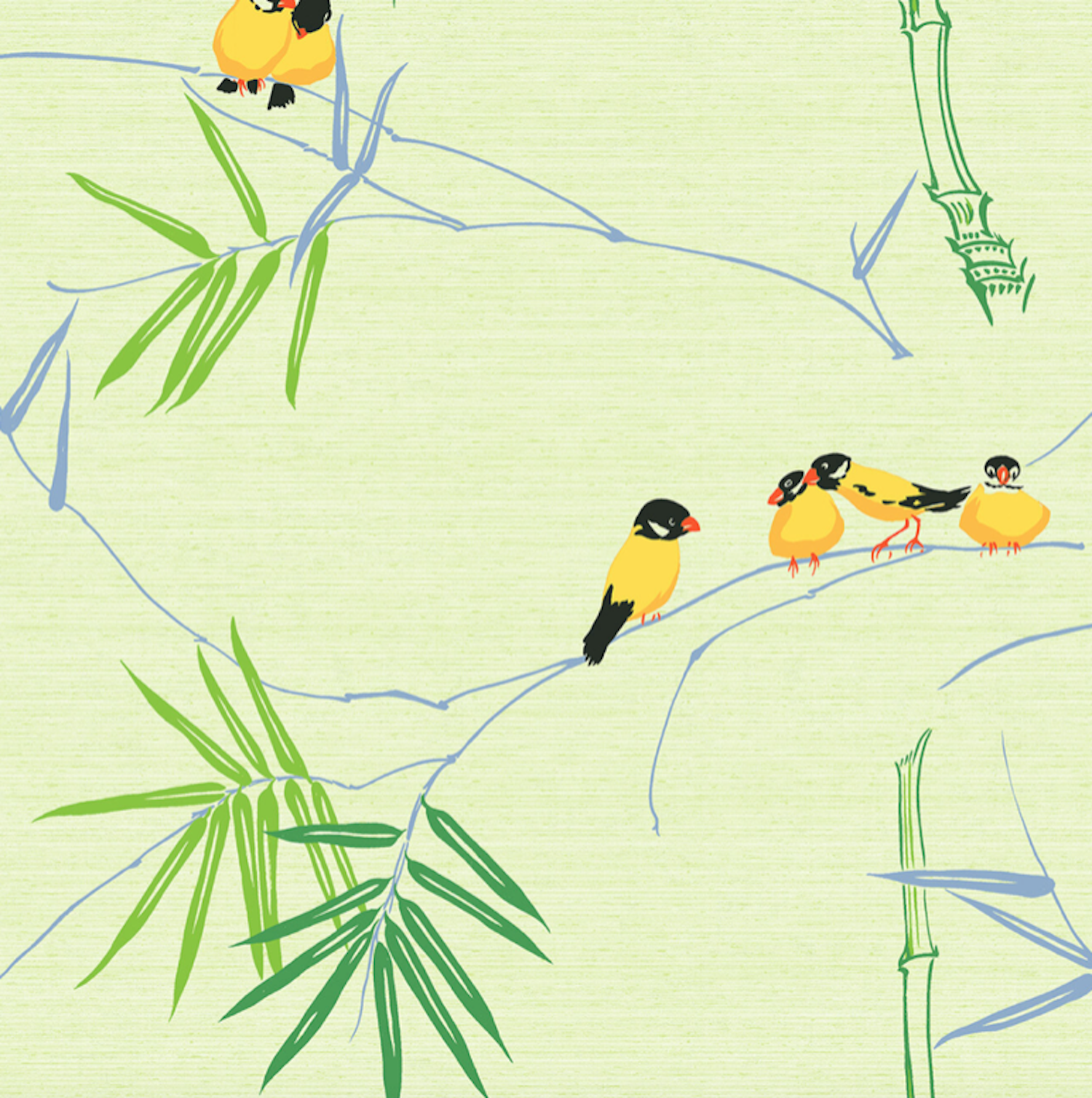 C 177-02 Colorway Yellow Blue on Lime