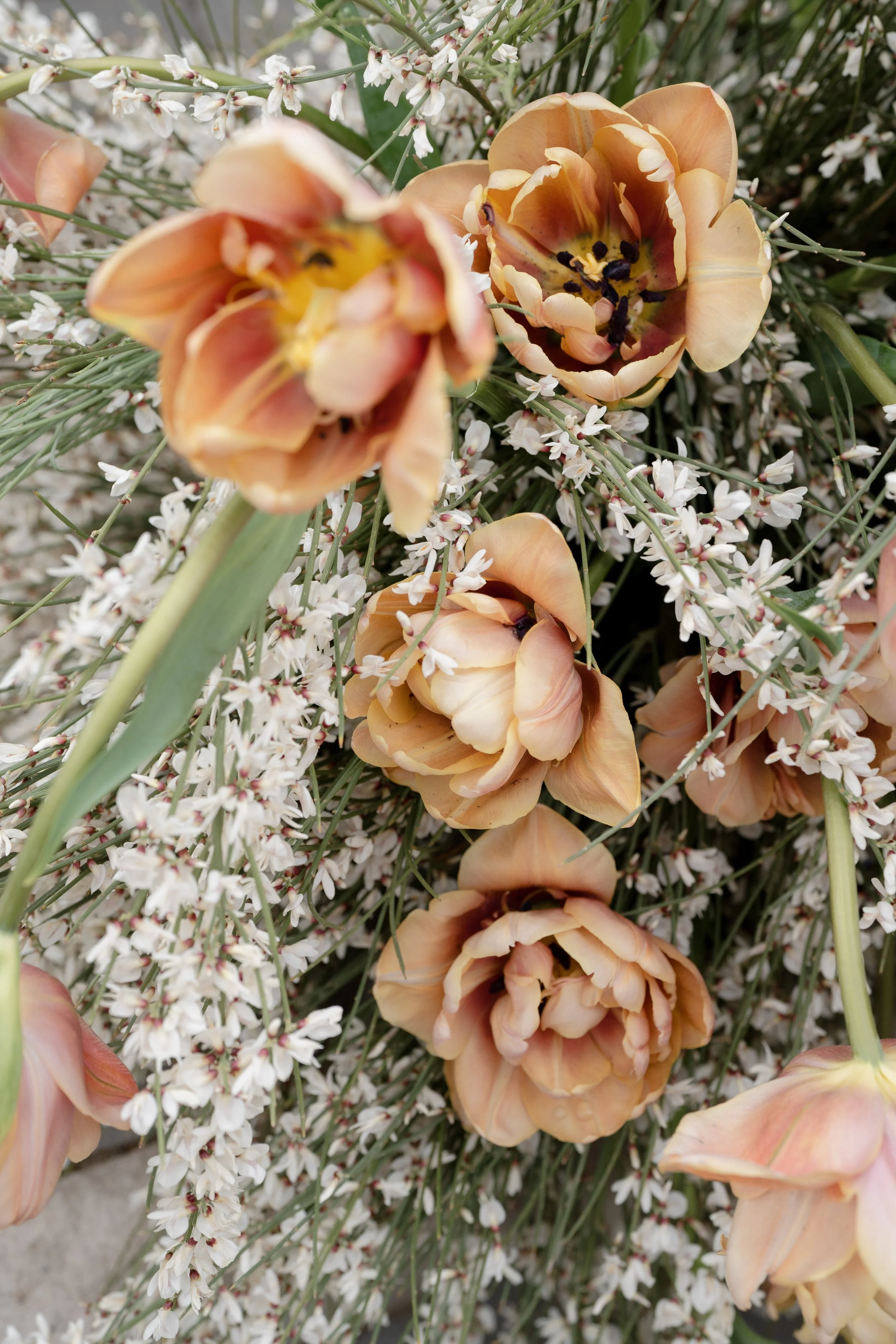 Le Art De Fleur SHOOT-62.jpg