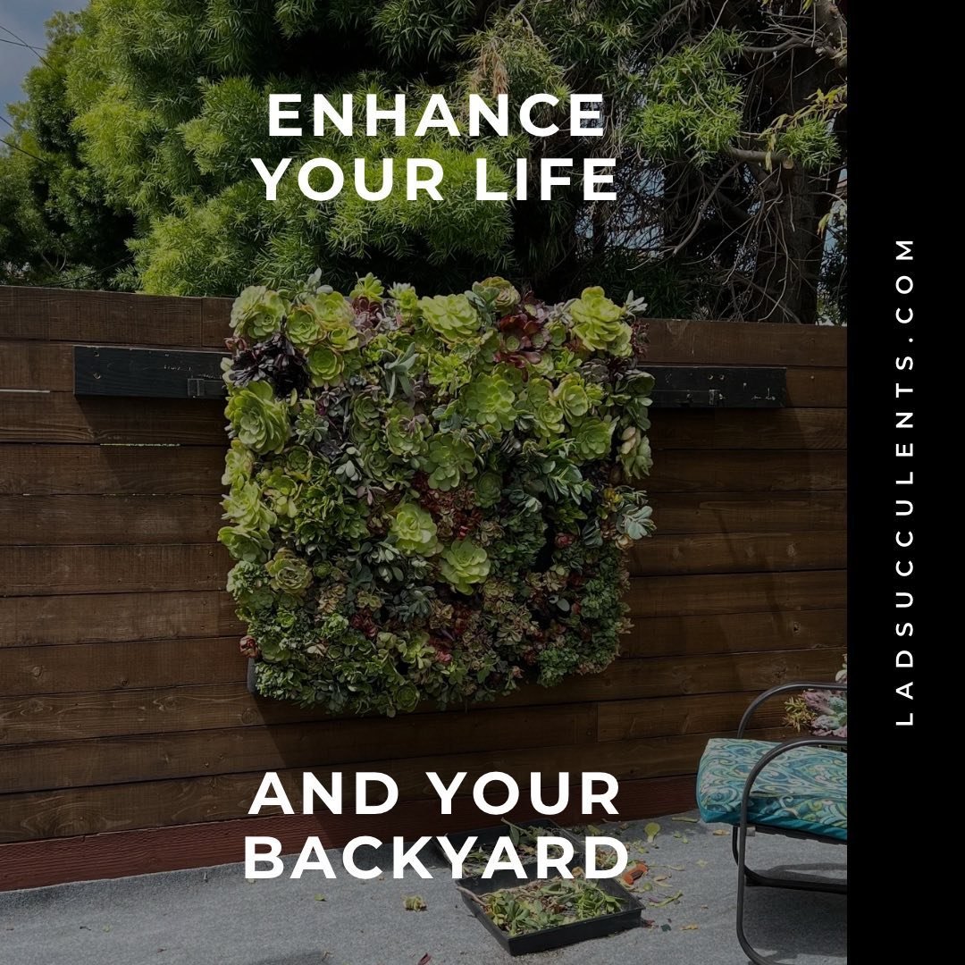Just added this to a new fence in Dana Point the wood and the succulents work well together. Enjoy your day! #livingart #interiordesign #landscaping #finehotels #landscapeart #succulents #patiodesign #outside-design #artandarchitecture