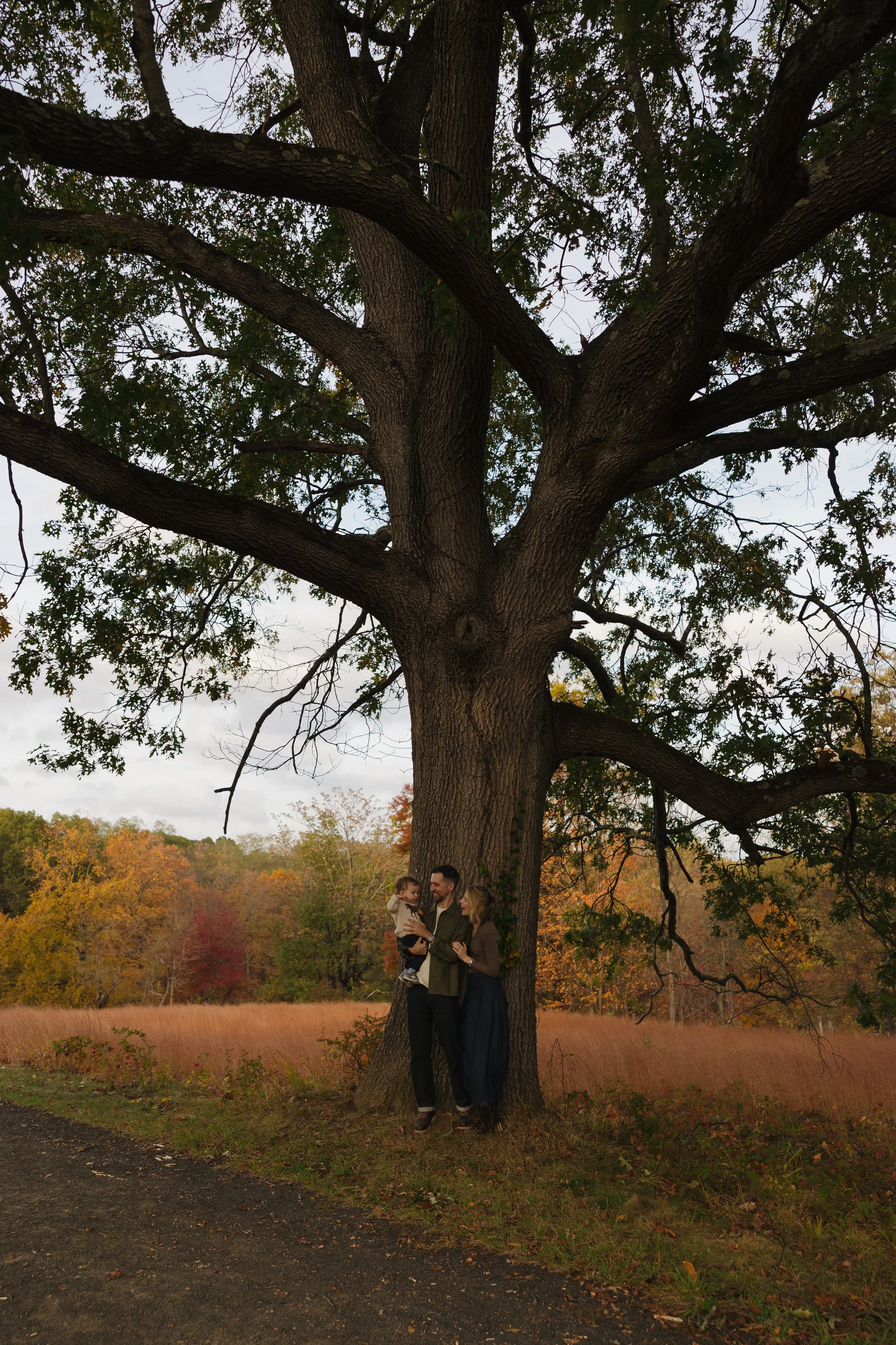 Emma van Bergen Photography - Quinn_10_19_25-103.jpg