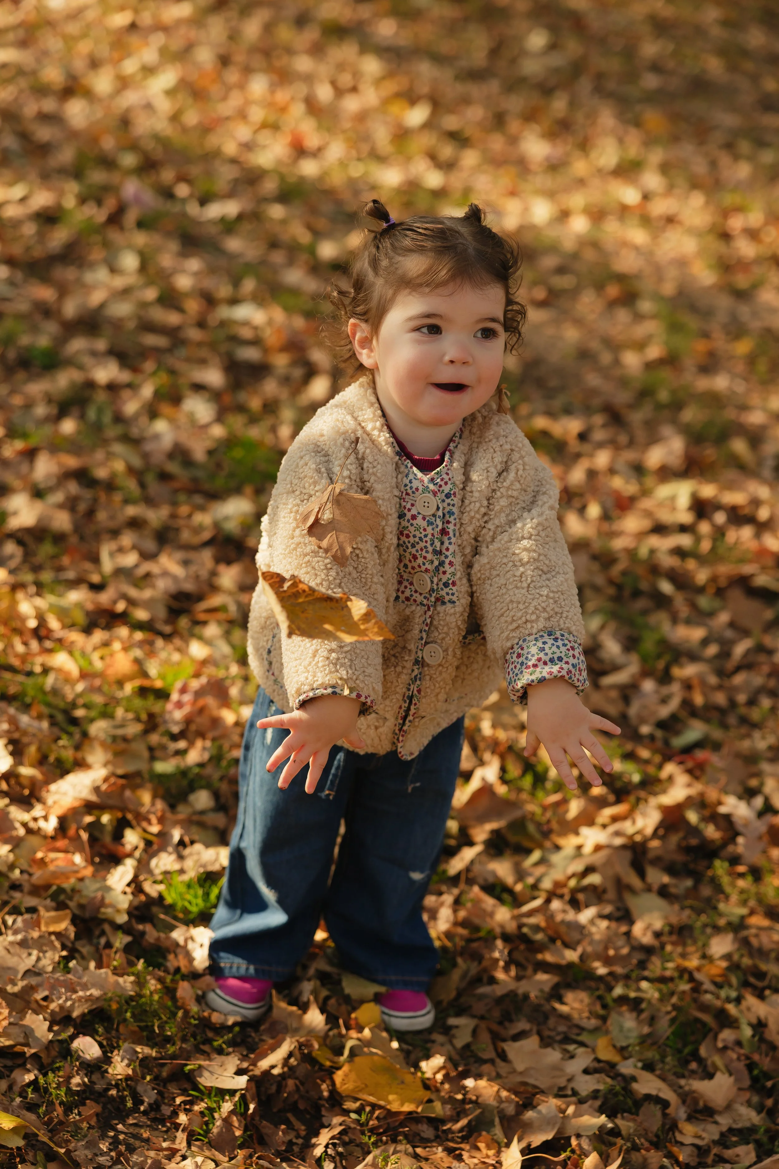 Emma van Bergen Photography - Fischer_11_2_25-077.jpg