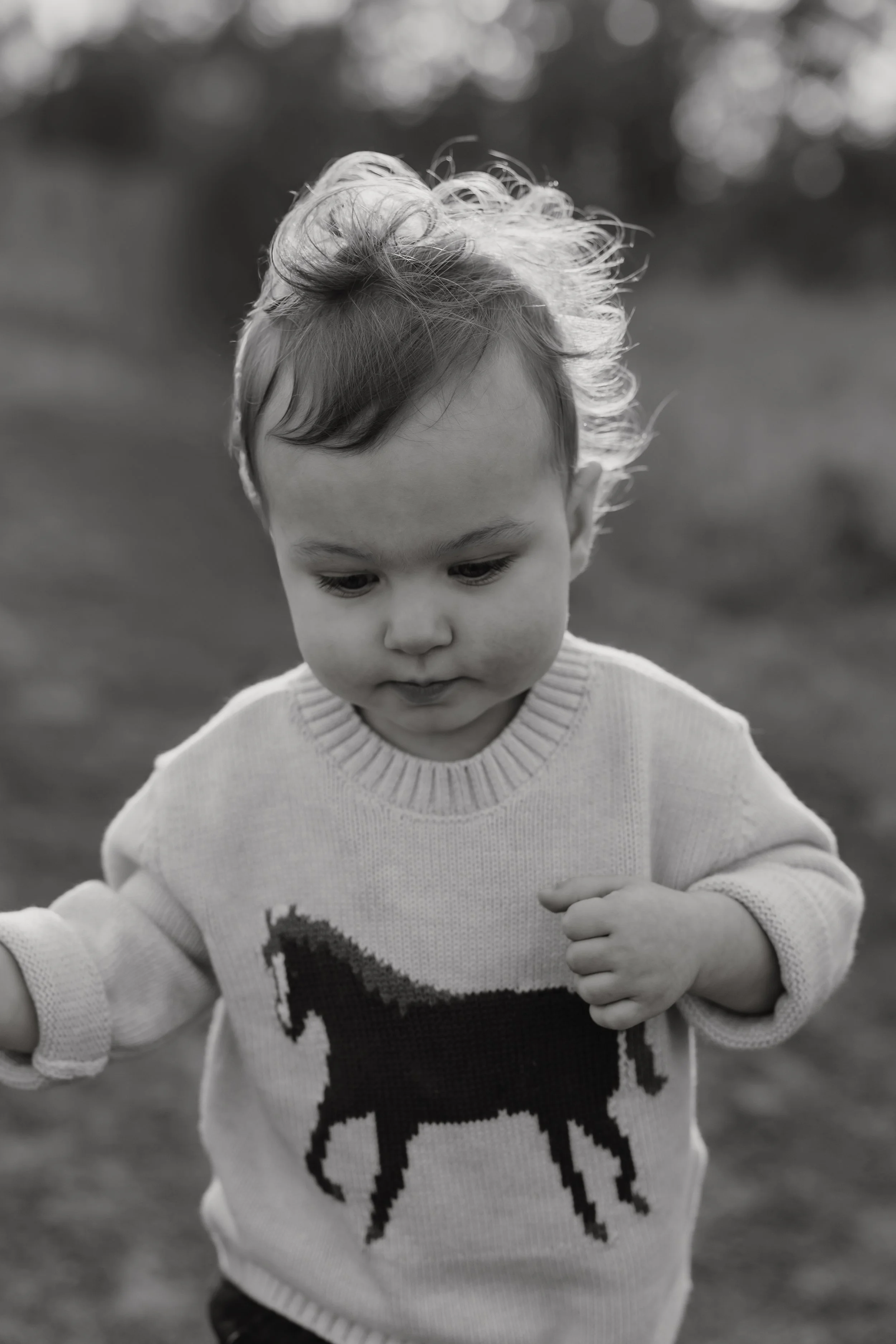 Emma van Bergen Photography - Quinn_10_19_25-082.jpg