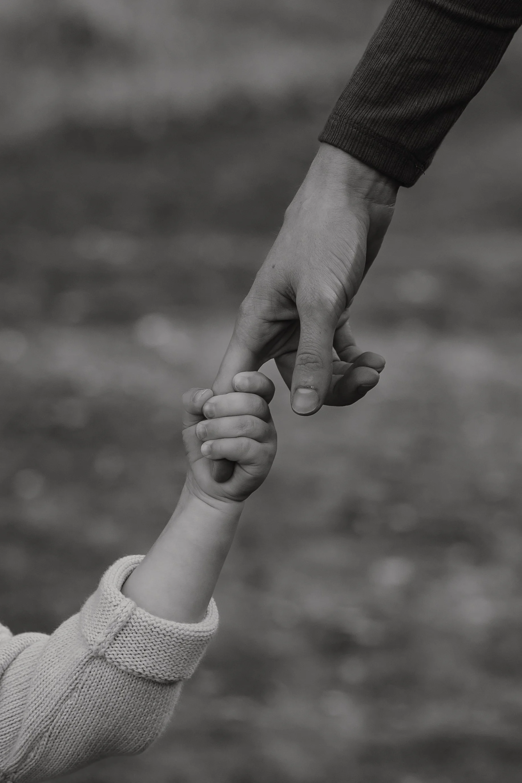 Emma van Bergen Photography - Quinn_10_19_25-009.jpg